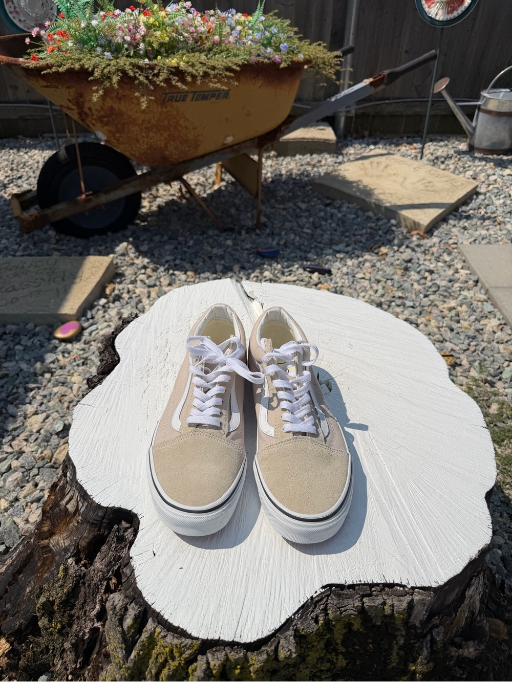 Vans - Picture 2 of 5